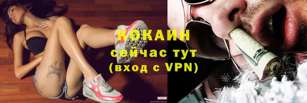 эйфоретик Арсеньев