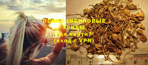 тгк Аркадак