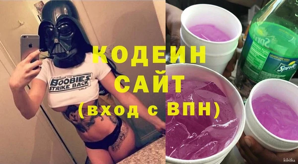 эйфоретик Арсеньев