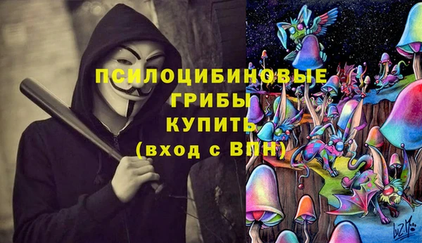mdpv Армянск